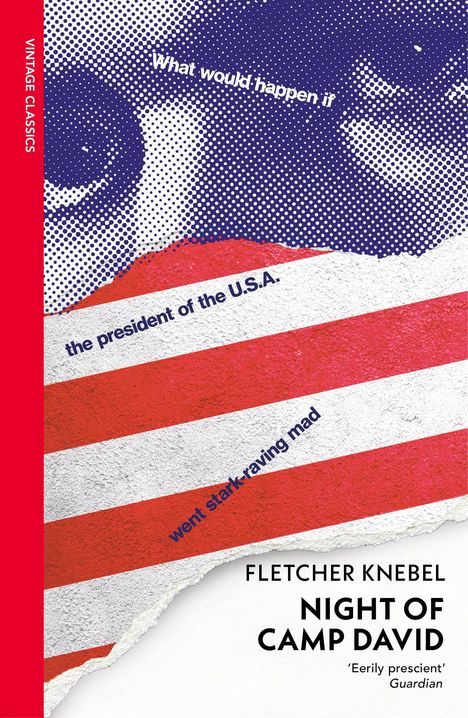 What would happen if the president of the U.S.A. went stark-raving mad. Vintage Classics. Illustration mit Flagge und Augen.