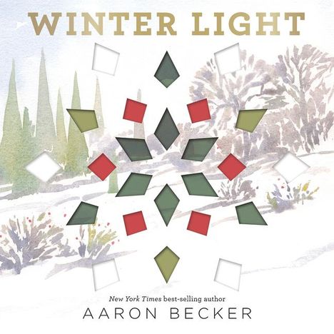 Aaron Becker: Winter Light, Buch