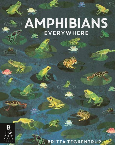Text: "Amphibians Everywhere", "Britta Teckentrup"; Illustration mit Fröschen auf Seerosenblättern, bunte Blüten.