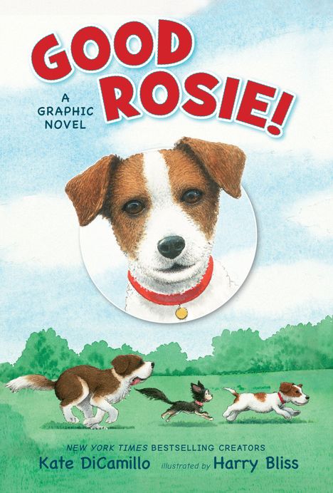 "GOOD ROSIE! A GRAPHIC NOVEL" und Autoren genannt. Ein Hundebild, drei Hunde spielen auf einer grünen Wiese.