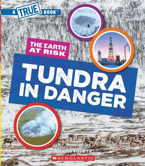 Natasha Vizcarra: Tundra in Danger (a True Book: The Earth at Risk), Buch