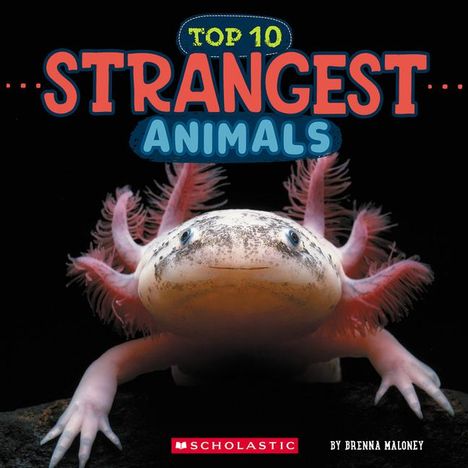 Brenna Maloney: Top Ten Strangest Animals (Wild World), Buch