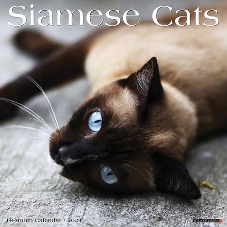 Willow Creek Press: Siamese Cats 2024 12 X 12 Wall Calendar, Kalender