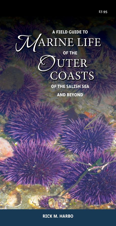 Rick M. Harbo: A Field Guide to Marine Life of the Outer Coasts of the Salish Sea and Beyond, Buch