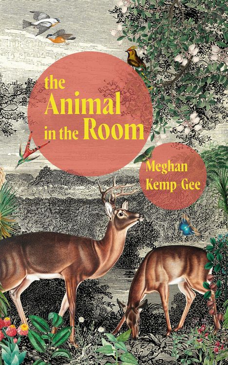 Meghan Kemp-Gee: The Animal in the Room, Buch