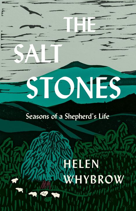 Helen Whybrow: The Salt Stones, Buch