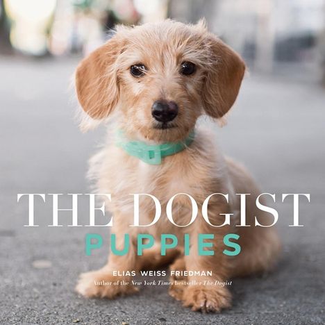 Elias Weiss Friedman: The Dogist Puppies, Buch