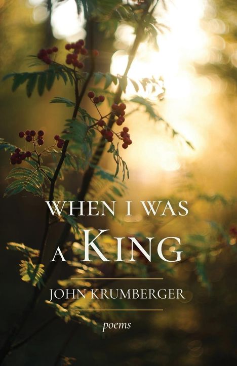 John Krumberger: When I Was a King, Buch