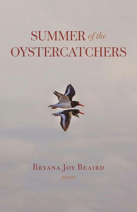 SUMMER of the OYSTERCATCHERS. Bryana Joy Beaird. Zwei fliegende Austernfischer am Himmel.