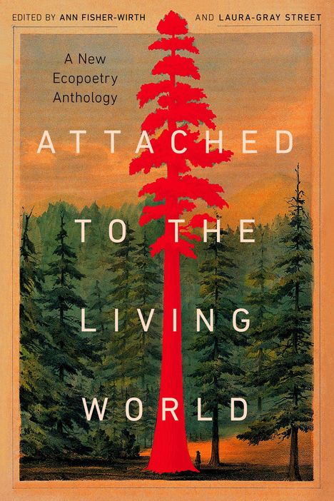 Attached to the Living World, Buch