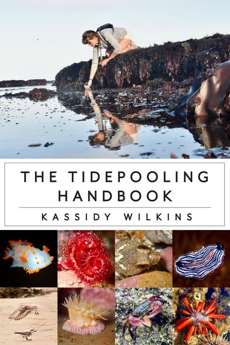 "The Tidepooling Handbook: Kassidy Wilkins." Eine Person kniet über einem Gezeitenbecken. Darunter diverse Meeresorganismen.