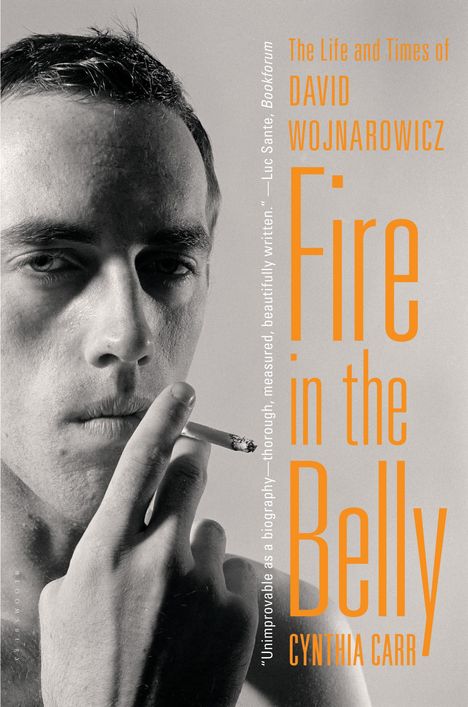 Cynthia Carr: Fire in the Belly, Buch