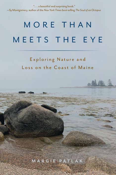 Margie Patlak: More Than Meets the Eye, Buch