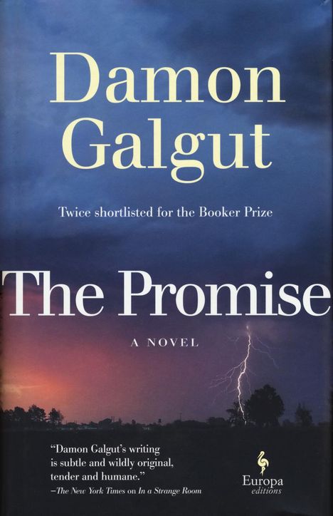 Damon Galgut: The Promise: A Novel (Booker Prize Winner), Buch