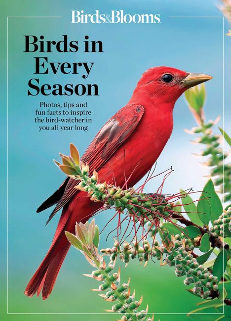 Birds &amp; Blooms Birds in Every Season, Buch