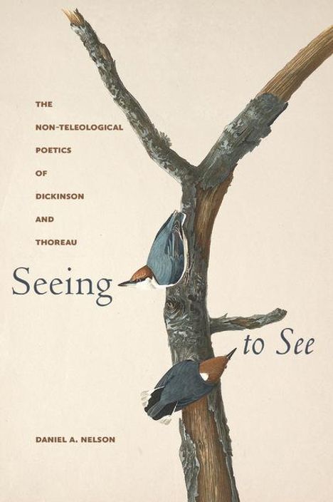 Daniel A Nelson: Seeing to See, Buch