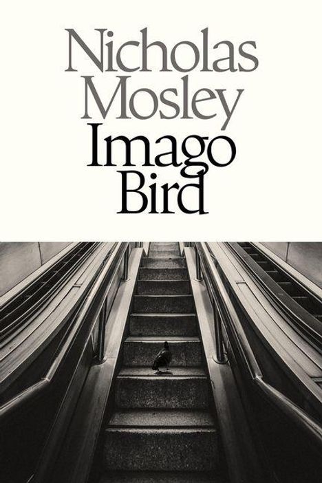 Nicholas Mosley, Imago Bird. Eine Taube sitzt auf Treppen zwischen zwei leeren Rolltreppen.