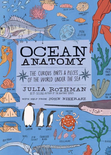 Julia Rothman: Ocean Anatomy, Buch