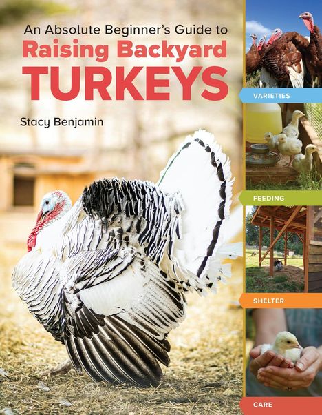 Stacy Benjamin: An Absolute Beginner's Guide to Raising Backyard Turkeys, Buch