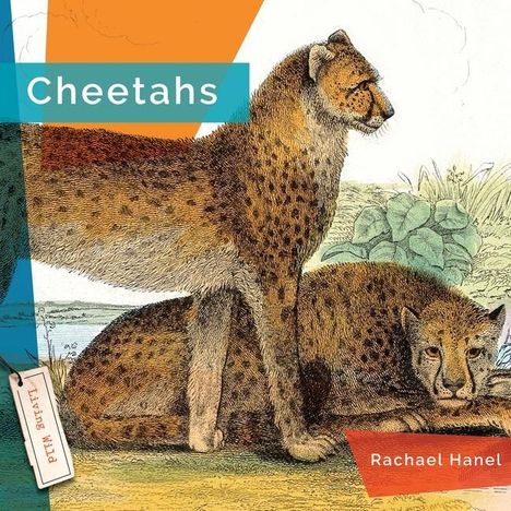 Rachael Hanel: Cheetahs, Buch