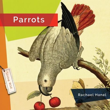 Rachael Hanel: Parrots, Buch