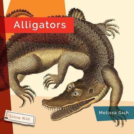 Melissa Gish: Alligators, Buch