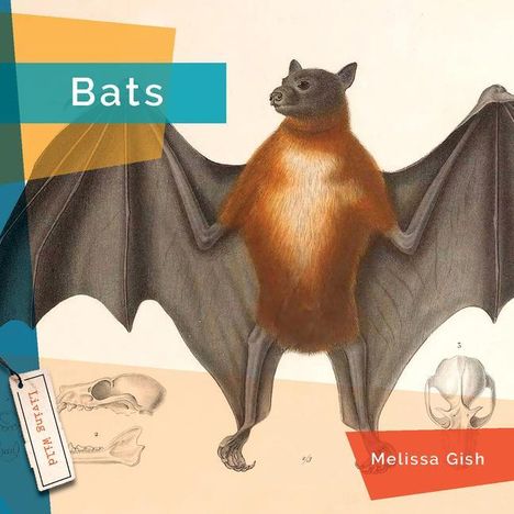 Melissa Gish: Bats, Buch