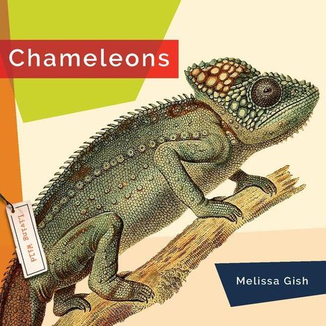 Melissa Gish: Chameleons, Buch