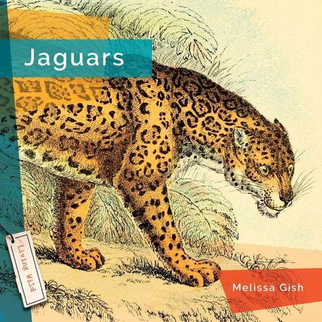 Melissa Gish: Jaguars, Buch