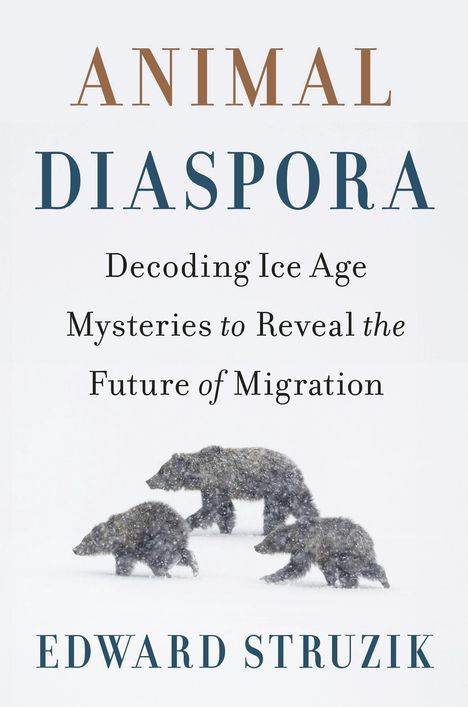ANIMAL DIASPORA; Decoding Ice Age Mysteries to Reveal the Future of Migration. EDWARD STRUZIK. Drei Bären im Schnee.