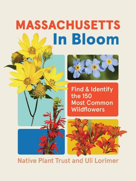 "Massachusetts In Bloom" in roter und blauer Schrift; bunte Bilder von Wildblumen darunter; Autoren: Native Plant Trust und Uli Lorimer.