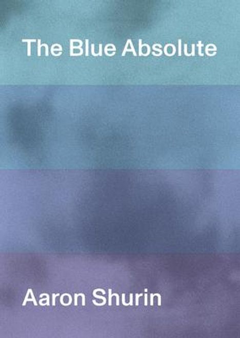 Aaron Shurin: The Blue Absolute, Buch