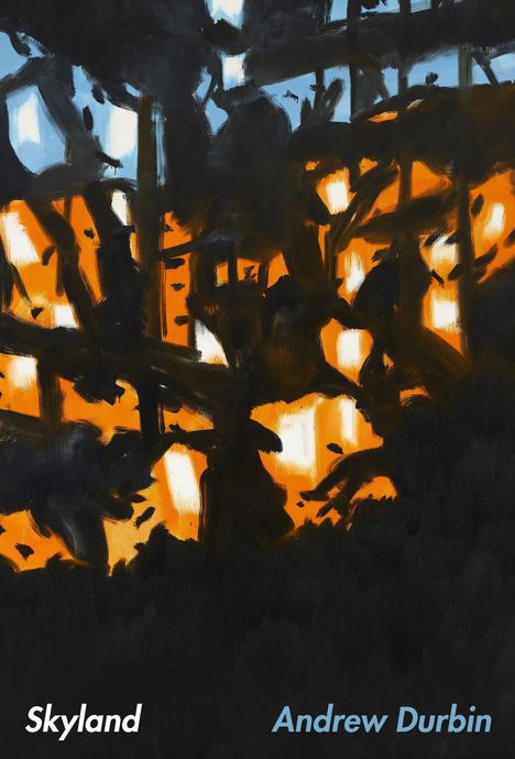 Andrew Durbin: Skyland, Buch