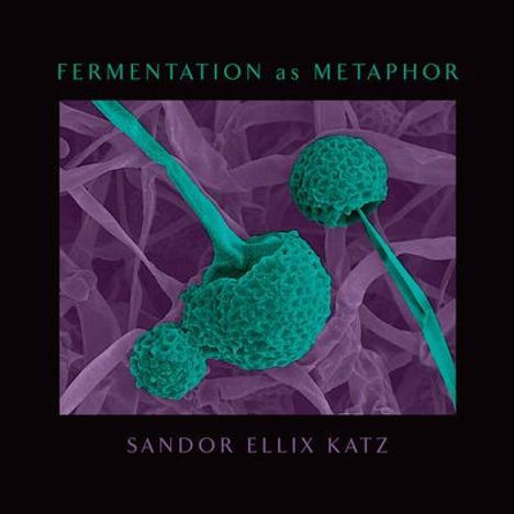 Sandor Ellix Katz: Fermentation as Metaphor: Follow Up to the Bestselling "the Art of Fermentation", Buch