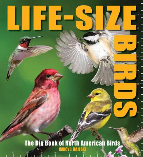 Nancy J. Hajeski: Life-Size Birds: The Big Book of North American Birds, Buch