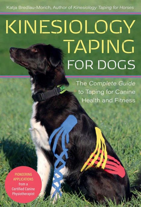 Text: „Kinesiology Taping for Dogs“ und weitere Beschreibungen. Ein Hund mit farbigem Tape sitzt auf einer Wiese.