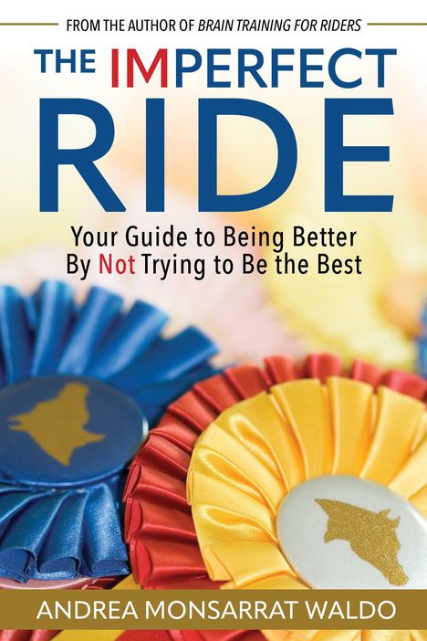 "THE IMPERFECT RIDE: Your Guide to Being Better By Not Trying to Be the Best." Darunter bunte Schleifen.