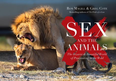 Titel: "Sex and the Animals: The Bizarre & Beautiful World of Procreating in the Wild". Ein Löwe liegt im Gras.