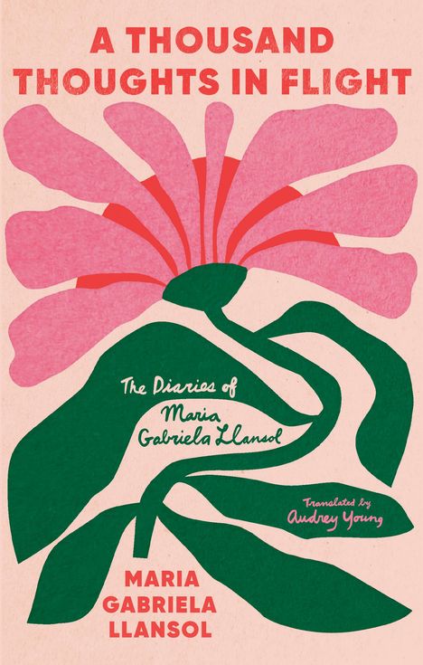 Maria Gabriela Llansol: Diaries, Buch