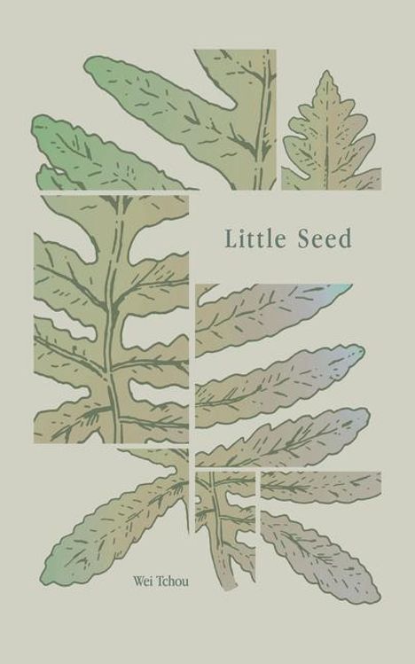 Wei Tchou: Little Seed, Buch