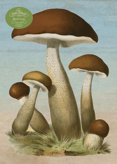 John Derian: John Derian Paper Goods: Mushrooms 1,000-Piece Puzzle, Spiele