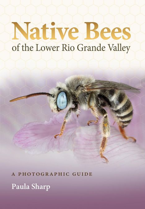 Paula Sharp: Native Bees of the Lower Rio Grande Valley, Buch