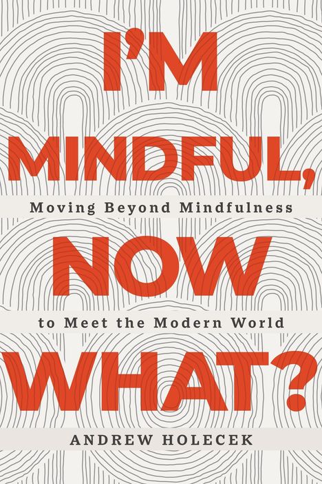 Andrew Holecek: I'm Mindful, Now What?, Buch