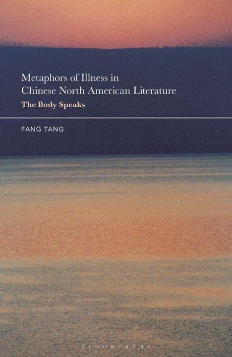 "Metaphors of Illness in Chinese North American Literature: The Body Speaks" von Fang Tang. Küstenlandschaft bei Sonnenuntergang.