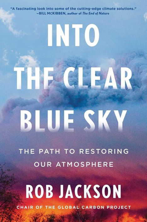 Rob Jackson: Into the Clear Blue Sky, Buch