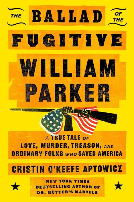 „The Ballad of the Fugitive William Parker“ von Cristin O'Keefe Aptowicz, gelb-orange Hintergrund, US-Flagge und Gewehr.