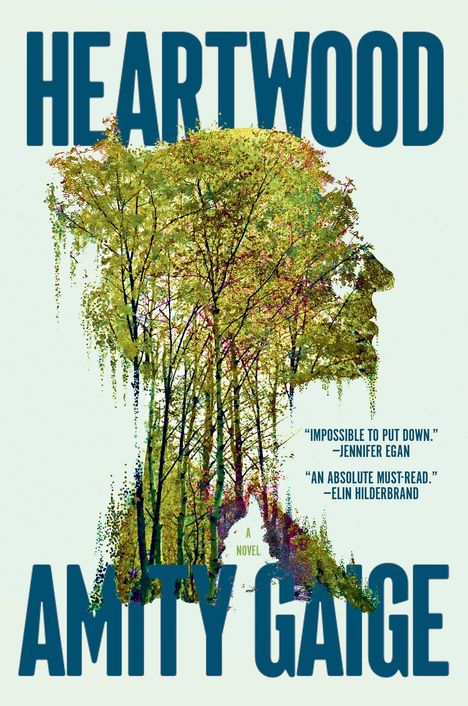 Amity Gaige: Heartwood, Buch