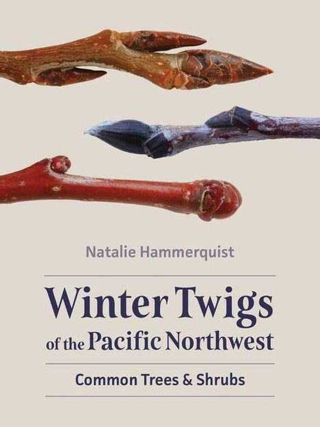„Natalie Hammerquist. Winter Twigs of the Pacific Northwest. Common Trees & Shrubs.“ Zeigt drei verschiedene Zweige.