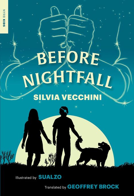 Silvia Vecchini: Before Nightfall, Buch