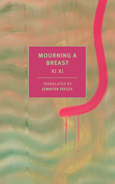 Xi Xi: Mourning a Breast, Buch